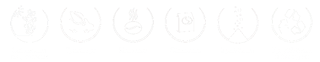 c21197278 banner 700x136px