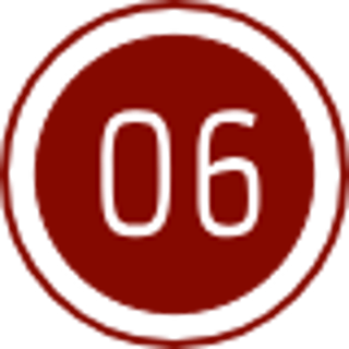 06